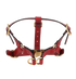 Gucci Pet Harness, back view